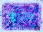 Real Mermaids Smoke Seaweed Tray Set